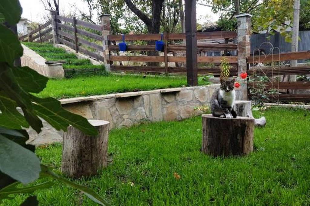 Hotel The Wild Fig Shumen Esterno foto